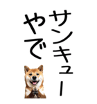 老眼でも見える【関西弁】柴犬 2（個別スタンプ：8）