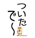 老眼でも見える【関西弁】柴犬 2（個別スタンプ：12）