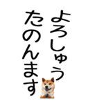 老眼でも見える【関西弁】柴犬 2（個別スタンプ：21）