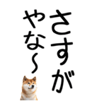 老眼でも見える【関西弁】柴犬 2（個別スタンプ：23）