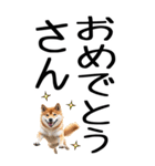 老眼でも見える【関西弁】柴犬 2（個別スタンプ：24）