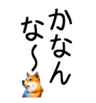 老眼でも見える【関西弁】柴犬 2（個別スタンプ：26）