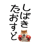 老眼でも見える【関西弁】柴犬 2（個別スタンプ：27）