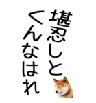 老眼でも見える【関西弁】柴犬 2（個別スタンプ：28）