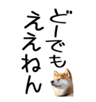 老眼でも見える【関西弁】柴犬 2（個別スタンプ：30）