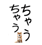 老眼でも見える【関西弁】柴犬 2（個別スタンプ：32）