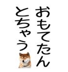 老眼でも見える【関西弁】柴犬 2（個別スタンプ：33）