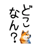 老眼でも見える【関西弁】柴犬 2（個別スタンプ：36）