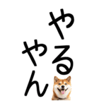 老眼でも見える【関西弁】柴犬 2（個別スタンプ：37）