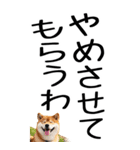 老眼でも見える【関西弁】柴犬 2（個別スタンプ：38）