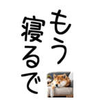 老眼でも見える【関西弁】柴犬 2（個別スタンプ：40）