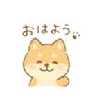 癒やしのわんこ*毎日使える挨拶（個別スタンプ：1）