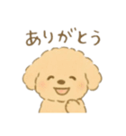 癒やしのわんこ*毎日使える挨拶（個別スタンプ：2）