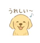 癒やしのわんこ*毎日使える挨拶（個別スタンプ：7）