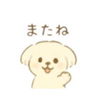 癒やしのわんこ*毎日使える挨拶（個別スタンプ：8）