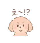 癒やしのわんこ*毎日使える挨拶（個別スタンプ：10）