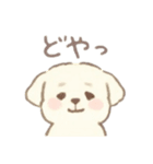 癒やしのわんこ*毎日使える挨拶（個別スタンプ：14）