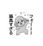 テンション高めのトイプードル（個別スタンプ：1）