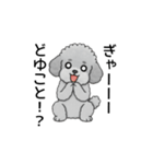 テンション高めのトイプードル（個別スタンプ：3）