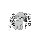 テンション高めのトイプードル（個別スタンプ：6）