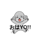 テンション高めのトイプードル（個別スタンプ：8）