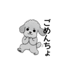 テンション高めのトイプードル（個別スタンプ：10）