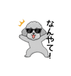 テンション高めのトイプードル（個別スタンプ：11）