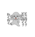 テンション高めのトイプードル（個別スタンプ：15）