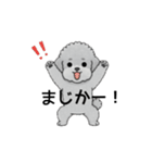 テンション高めのトイプードル（個別スタンプ：17）