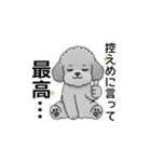 テンション高めのトイプードル（個別スタンプ：19）