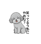 テンション高めのトイプードル（個別スタンプ：25）