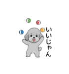 テンション高めのトイプードル（個別スタンプ：27）
