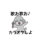 テンション高めのトイプードル（個別スタンプ：29）