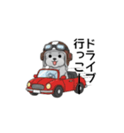 テンション高めのトイプードル（個別スタンプ：30）