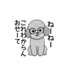 テンション高めのトイプードル（個別スタンプ：31）