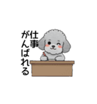 テンション高めのトイプードル（個別スタンプ：34）