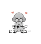 テンション高めのトイプードル（個別スタンプ：36）