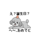 テンション高めのトイプードル（個別スタンプ：37）