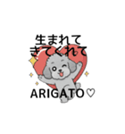 テンション高めのトイプードル（個別スタンプ：38）