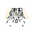 毎日使える！お返事マヌルネコ（個別スタンプ：13）