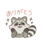 ゆるゆるアライグマ（個別スタンプ：2）