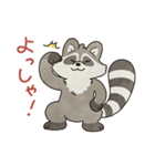 ゆるゆるアライグマ（個別スタンプ：16）