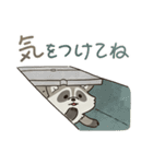 ゆるゆるアライグマ（個別スタンプ：30）