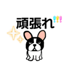 イヌたちスタンプ（個別スタンプ：5）