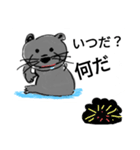 日常会館でカワウソ（個別スタンプ：4）