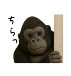 【毎日使える】フェルトのゴリラン（個別スタンプ：14）