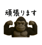 【毎日使える】フェルトのゴリラン（個別スタンプ：19）