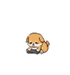 動く！ドット絵犬（個別スタンプ：7）
