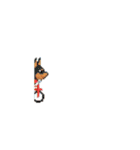 動く！ドット絵犬（個別スタンプ：8）