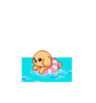 動く！ドット絵犬（個別スタンプ：12）